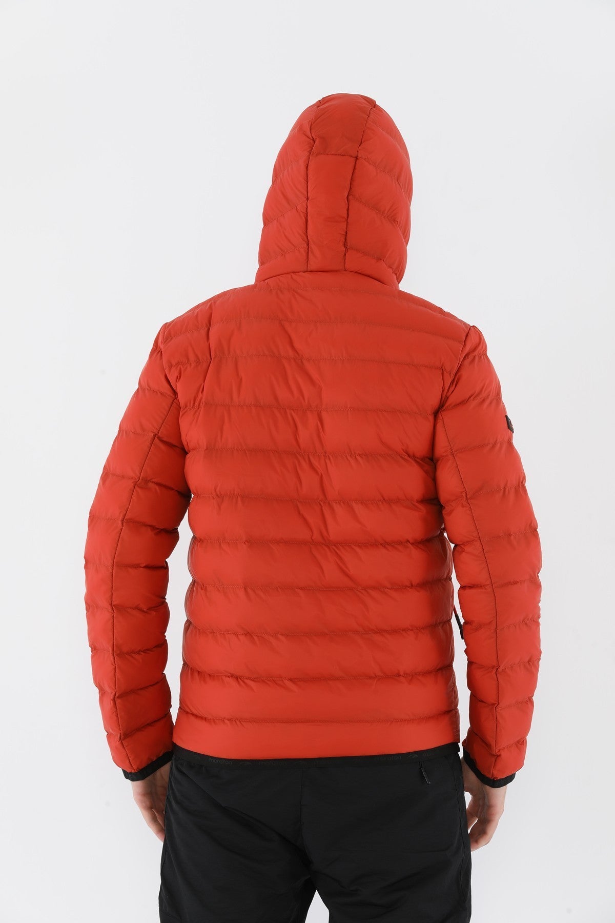 Regular Erkek Kapüşonlu Kiremit Mont