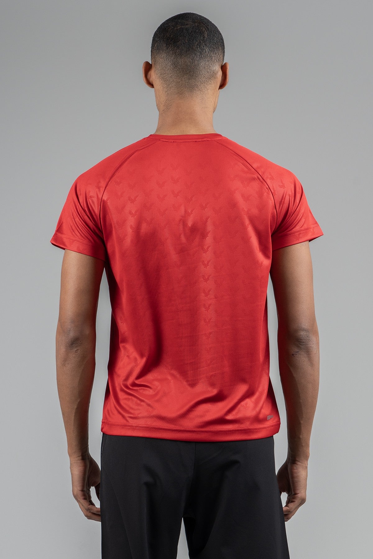 Regular Erkek Bisiklet Yaka Kırmızı T-shirt