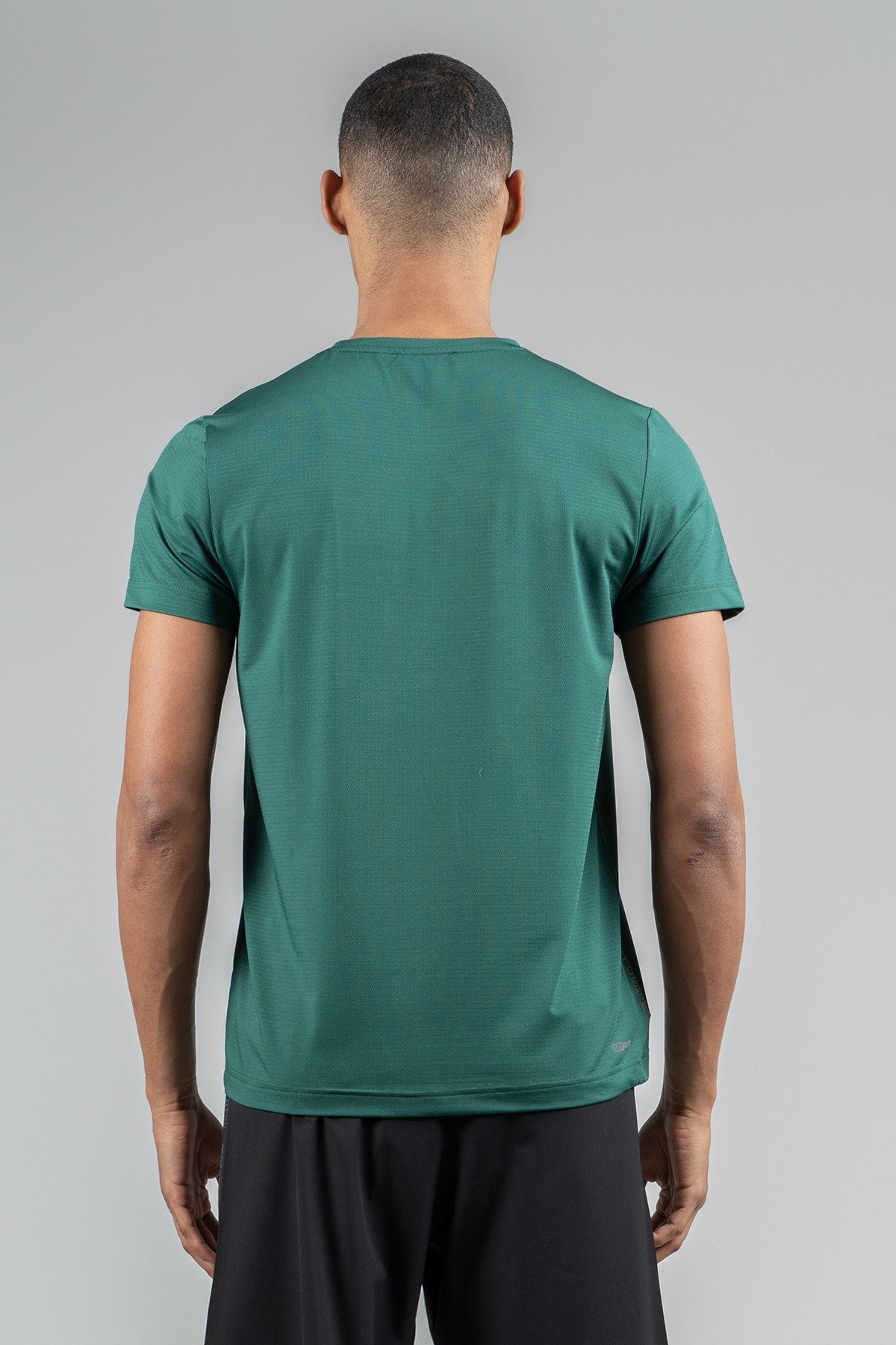 Regular Erkek Bisiklet Yaka Yeşil T-shirt