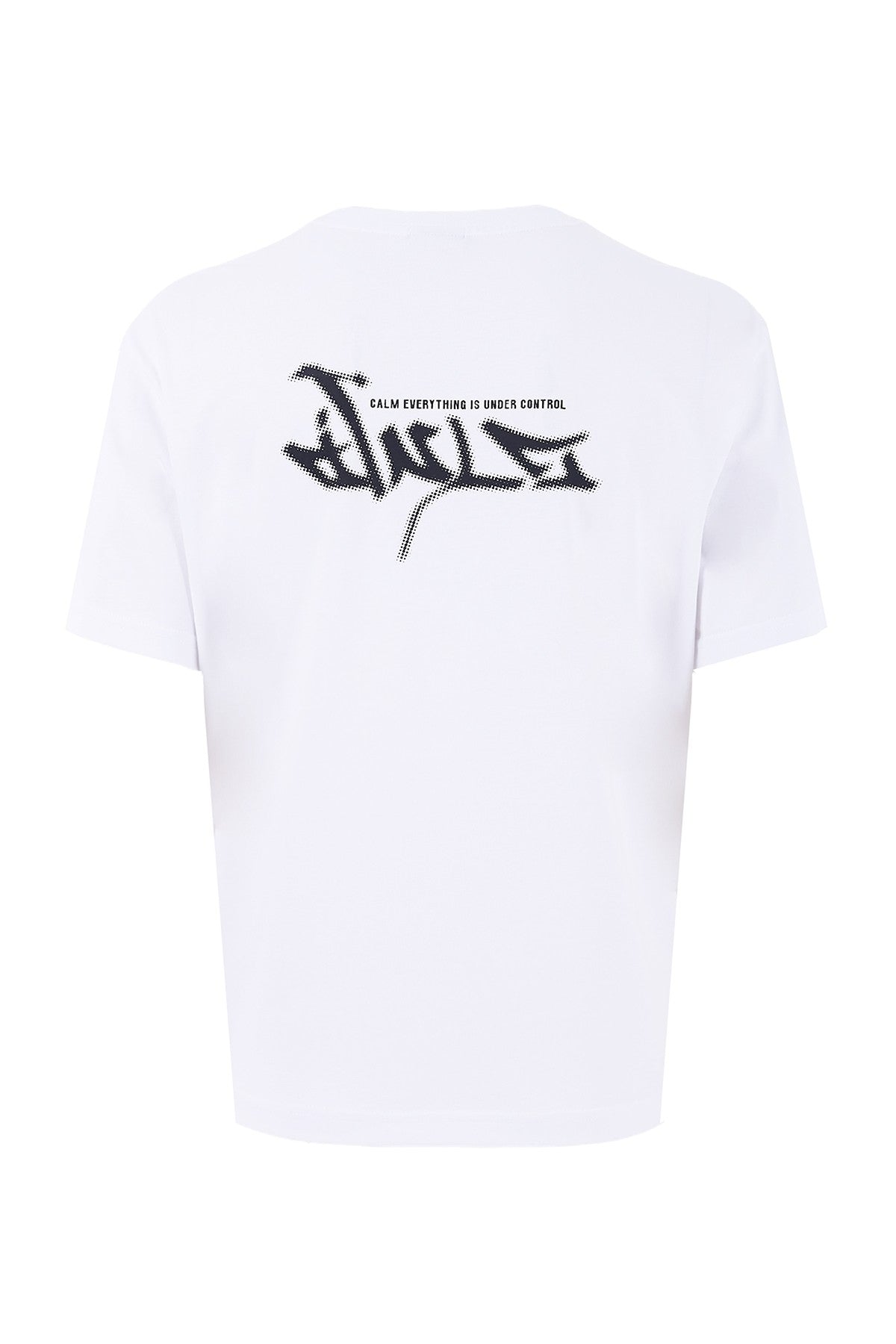 Boxy Erkek Bisiklet Yaka Beyaz T-shirt