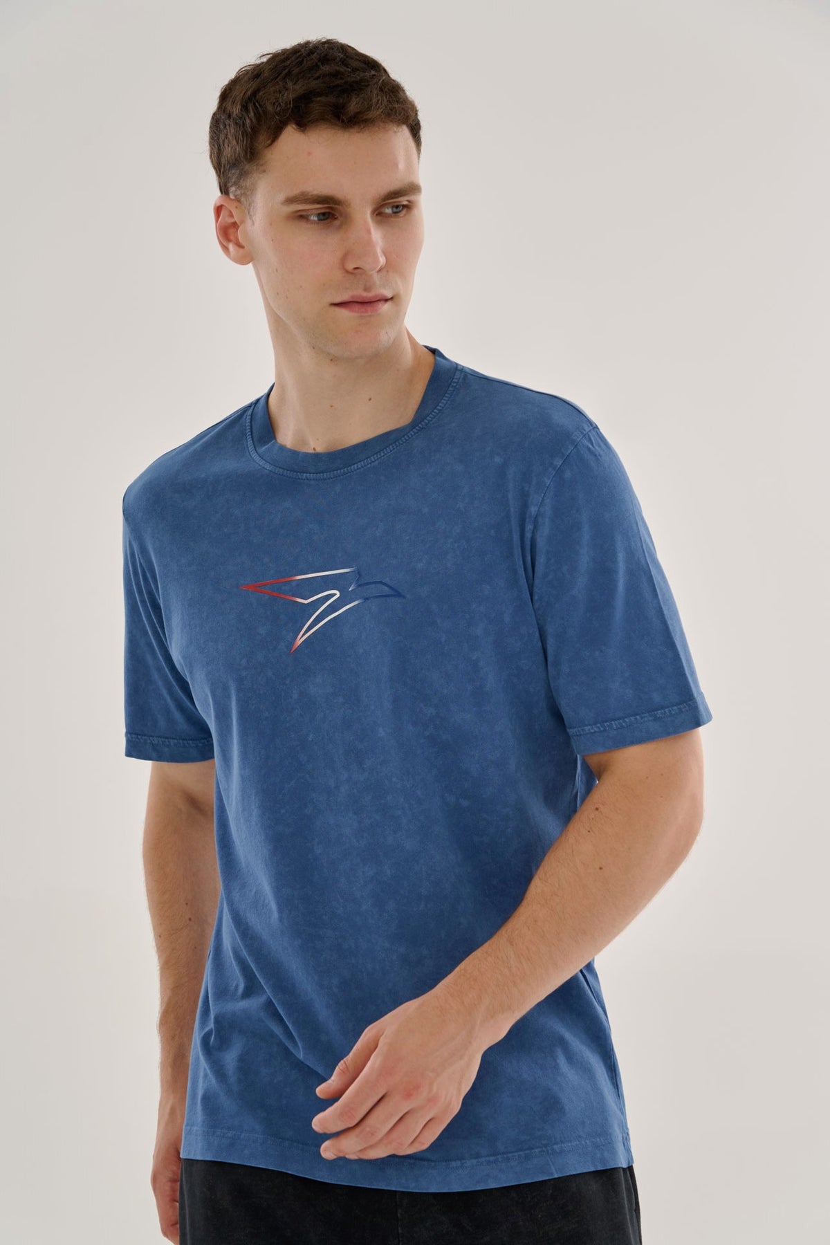 Regular Erkek Bisiklet Yaka İndigo T-shirt