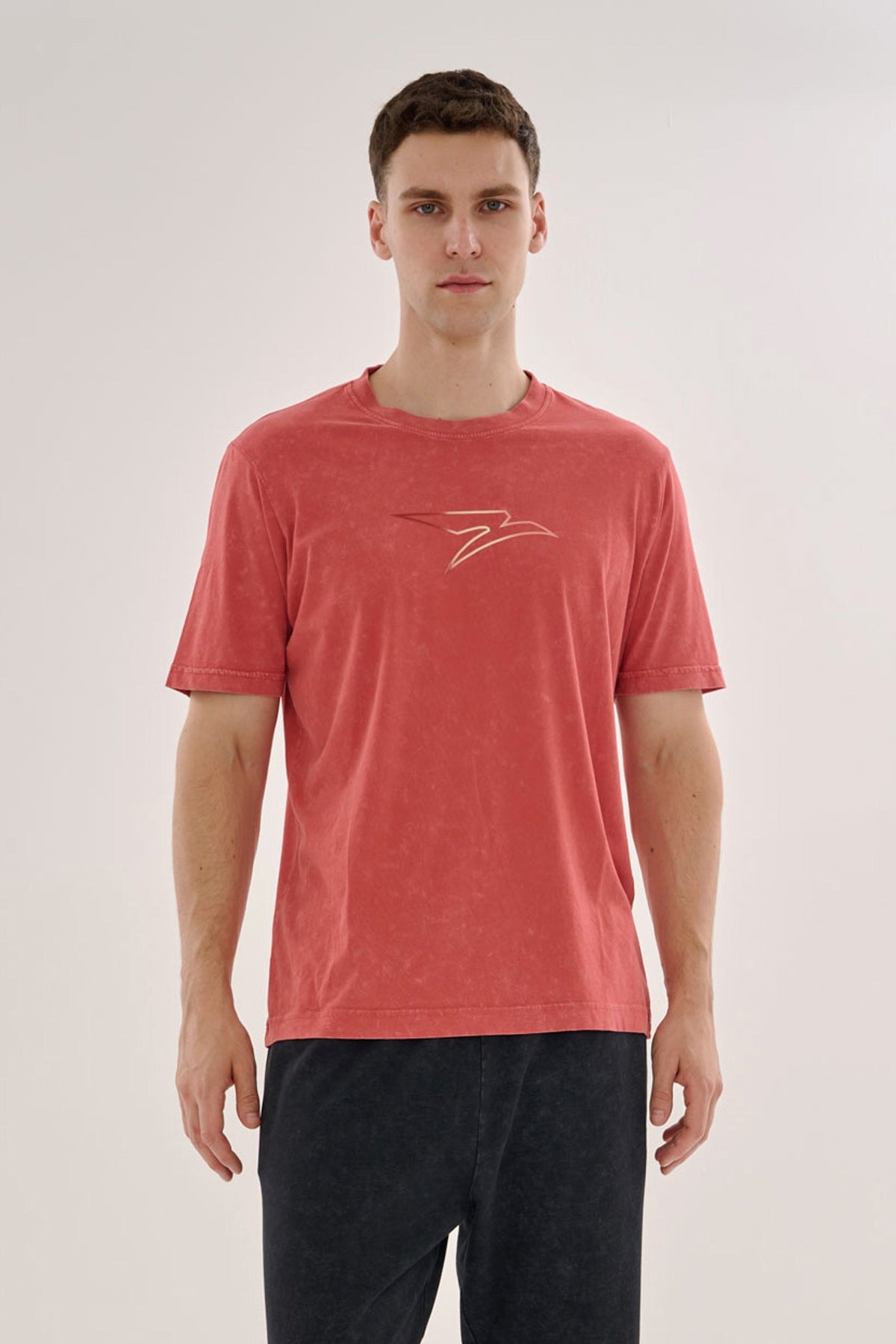 Regular Erkek Bisiklet Yaka Kiremit T-shirt