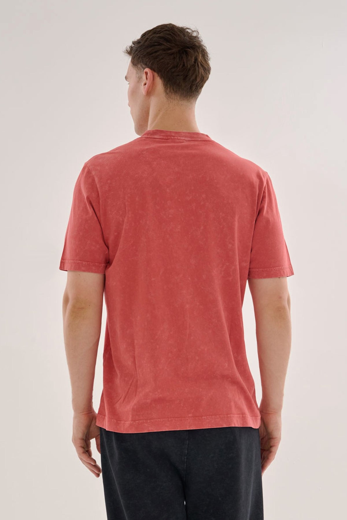 Regular Erkek Bisiklet Yaka Kiremit T-shirt