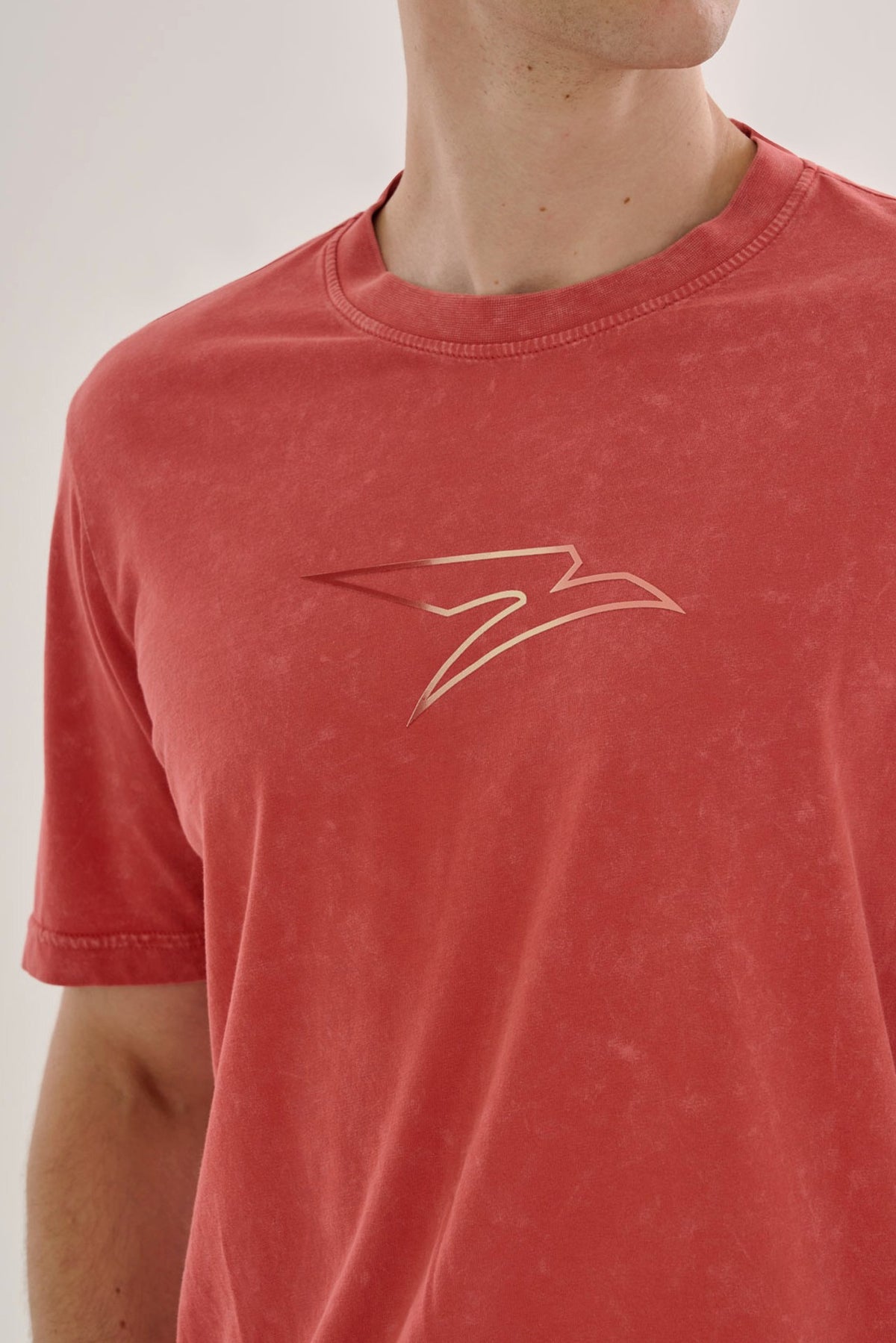 Regular Erkek Bisiklet Yaka Kiremit T-shirt